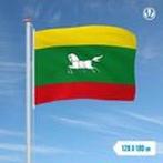 GEZOCHT!!!! Zuidlaardermarkt vlag, Ophalen of Verzenden, Zo goed als nieuw