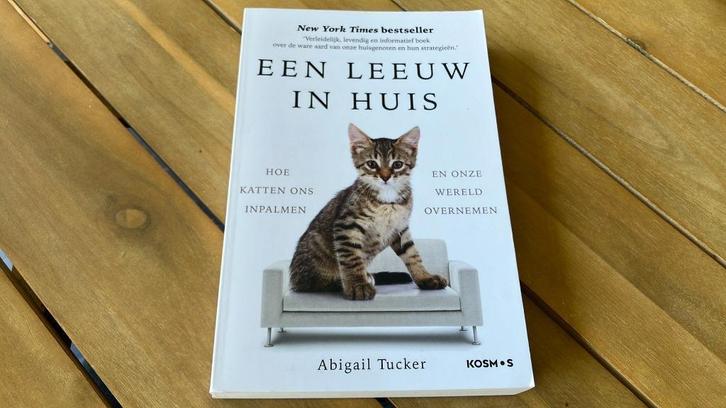 Abigail Tucker - Een leeuw in huis, Boeken, Dieren en Huisdieren, Zo goed als nieuw, Katten, Ophalen of Verzenden