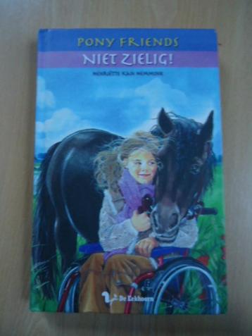 Pony Friends 4, Niet zielig! Henriëtte Kan Hemmink beschikbaar voor biedingen