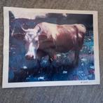 Leuke Foto print.    Koe.             Genummerd., Huis en Inrichting, Woonaccessoires | Schilderijen, Tekeningen en Foto's, Minder dan 50 cm