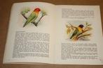 Parkieten. Huisvesting voeding verzorging kweken., Ophalen of Verzenden, Gelezen