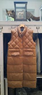 Prachtige lange bodywarmer Only, maat m, Kleding | Dames, Maat 38/40 (M), Zo goed als nieuw, Ophalen