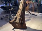 Aquariumhout, Ophalen of Verzenden, Gebruikt, Plant(en), Steen of Hout