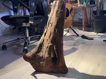 Aquariumhout beschikbaar voor biedingen