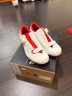 Fizik tempo R5 overcurve racefiets schoenen, 38, SALE SALE, Fizik, Schoenen, Nieuw, Overige maten