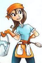 Schoonmaakster aangeboden arnhem., Overige uren, Vanaf 10 jaar, Overige vormen