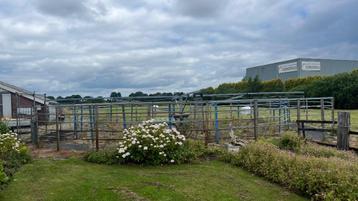 Paarden stapmolen 4 paarden  beschikbaar voor biedingen