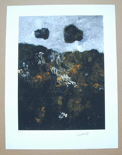 ## ARMANDO # Prachtig Werk " Ons woeste Land " 30Expl Wereld, Antiek en Kunst, Kunst | Schilderijen | Modern, Ophalen of Verzenden