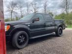 Ford F 150 2009 marge, Origineel Nederlands, Te koop, 5 stoelen, Airconditioning