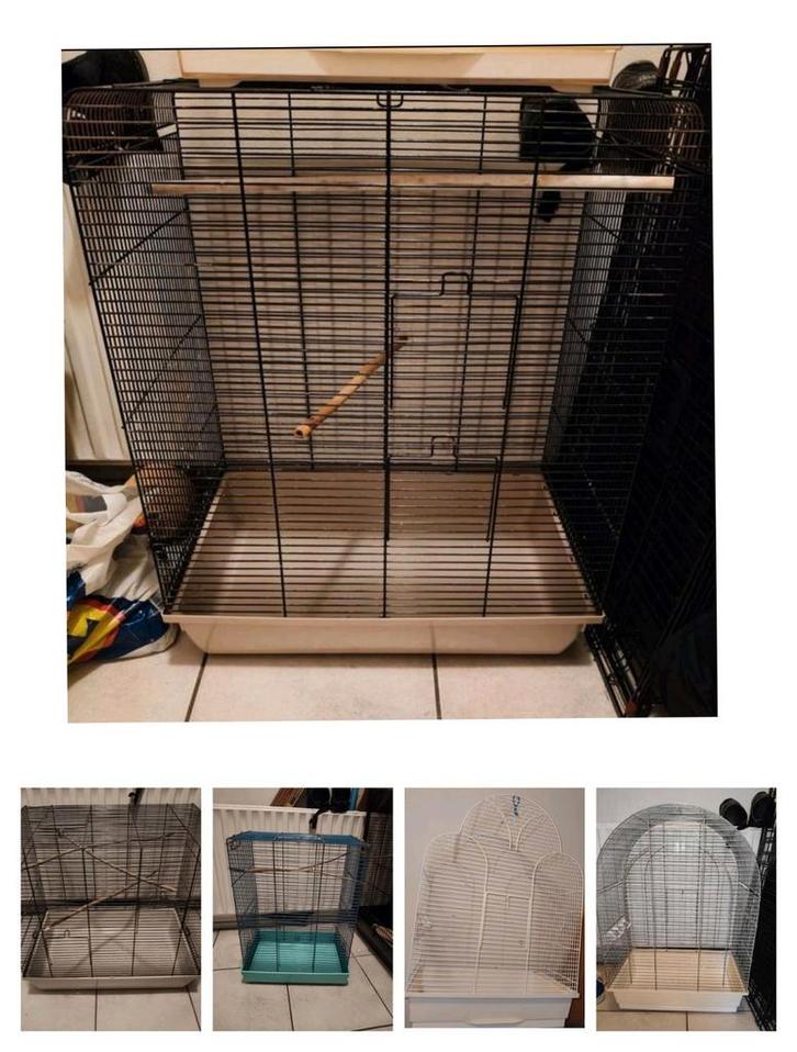 Verschillende vogelkooien te koop! (Zie advertentie)., Dieren en Toebehoren, Vogels | Hokken en Kooien, Vogelkooi, Ophalen