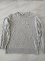 Te koop trui, Kinderen en Baby's, Kinderkleding | Maat 122, Ophalen of Verzenden, Zo goed als nieuw, Jongen, Trui of Vest