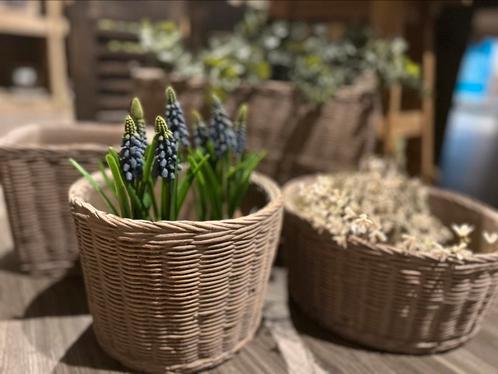 Leuke restpartij bloempotten en vazen van steen rattanlook, Tuin en Terras, Bloembakken en Plantenbakken, Nieuw, Steen, Minder dan 60 cm