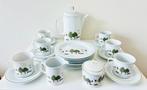 Super leuk retro summergarten thee/ koffie servies, Huis en Inrichting, Keuken | Servies, Ophalen of Verzenden, Zo goed als nieuw