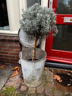 Vintage Zinken Afvalbak / Plantenbak, Gebruikt, Balkon, Rond, Metaal