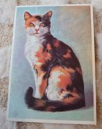 Lapjeskat - Ko van den Broecke, Verzenden, 1960 tot 1980, Gelopen, Hond of Kat