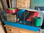 Kooi met knaagdieren toebehoren loopwielen etc, Minder dan 60 cm, Kooi, Gebruikt, Ophalen of Verzenden