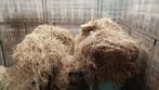 Hooi in pak. Grof hooi, ingeseald 140*120*75, Ophalen, Vee