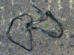Lak pony martingaal, Ophalen of Verzenden, Gebruikt, Dressuur