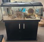 Juwel Aquarium 100 x 40 x 40 hamster scaping, Dieren en Toebehoren, Knaagdieren en Konijnen | Hokken en Kooien, Ophalen, Kooi