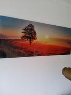 Glas schilderij 120x50cm, Antiek en Kunst, Ophalen of Verzenden