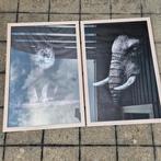 Lijsten Leeuw & Olifant, Huis en Inrichting, Woonaccessoires | Schilderijen, Tekeningen en Foto's, Minder dan 50 cm, Ophalen of Verzenden
