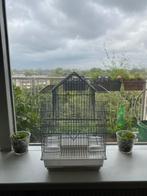 Te koop vogel kooi15 euro, Dieren en Toebehoren, Ophalen of Verzenden, Zo goed als nieuw, Vogelkooi