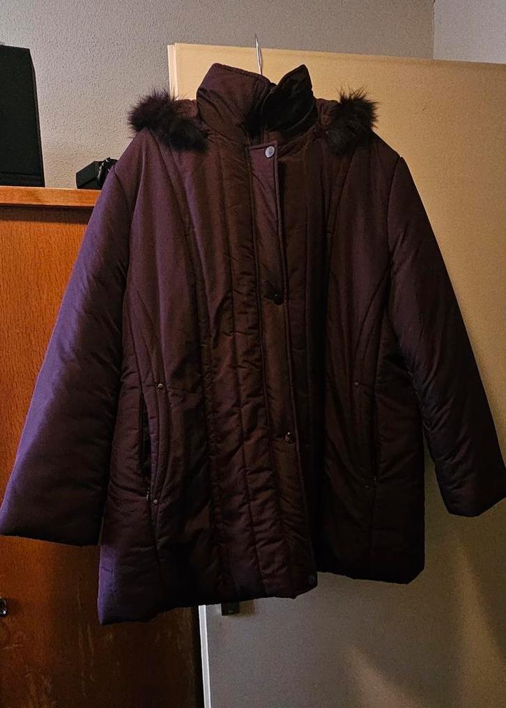 Mooie warme winterjas maat L, Kleding | Dames, Jassen | Winter, Zo goed als nieuw, Groen, Ophalen of Verzenden