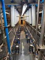 DeLaval/Alfa Laval Melkstal, December, Geslacht onbekend