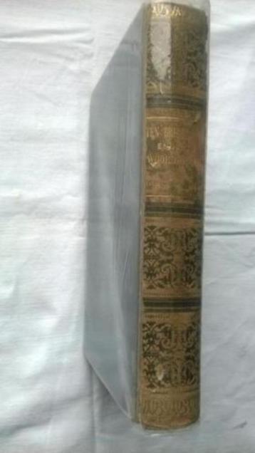 Nederlandsch-Engelsch woordenboek 1903 beschikbaar voor biedingen