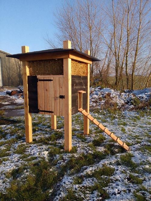 Kippenhooiberg Douglas, Dieren en Toebehoren, Pluimvee | Toebehoren, Nieuw, Kippenhok of Kippenren, Ophalen
