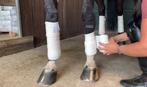 ANKY bandages en onderlappen, Dieren en Toebehoren, Paarden en Pony's | Beschermers, Ophalen of Verzenden, Gebruikt
