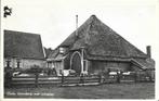Texel - Boerderij met schapen uit 1947, Ophalen of Verzenden, 1940 tot 1960, Gelopen, Waddeneilanden