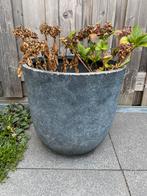 Grote bloempot, Rond, Ophalen of Verzenden, Zo goed als nieuw, Minder dan 25 cm