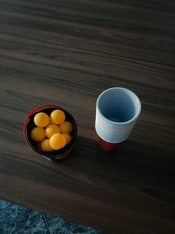 Gratis Beer Pong Set beschikbaar voor biedingen