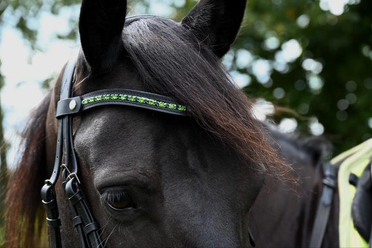 *SALE*  DIY Frontriem met of zonder drukknopen, Dieren en Toebehoren, Paarden en Pony's | Hoofdstellen en Tuigage, Ophalen of Verzenden