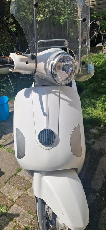 Veseplini la souris snor beschikbaar voor biedingen