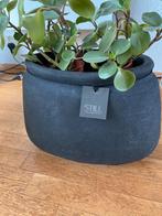 Still bloempot met vetplanten, Ophalen, Rond, Zo goed als nieuw, Aardewerk