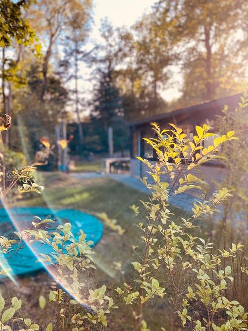 Natuurhuisje te huur in Drenthe, ook in zomervakantie, Vakantie, Vakantiehuizen | Nederland, Drenthe, Overige typen, Landelijk