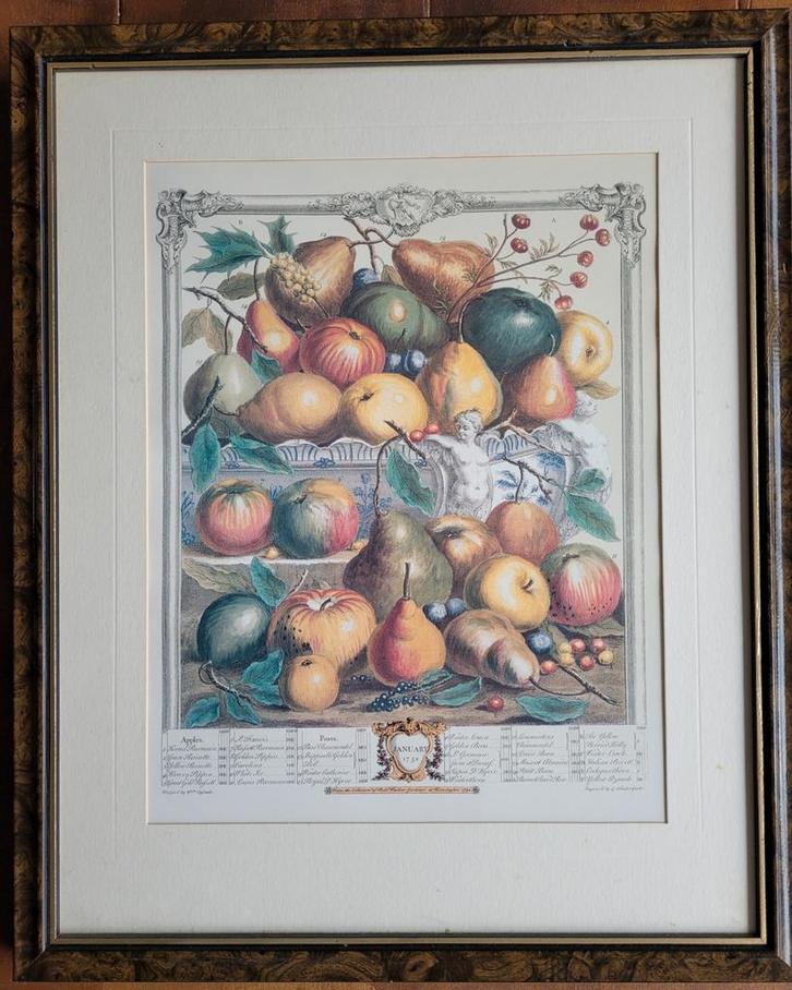 Oude Fruitkalender printen ingelijst, Antiek en Kunst, Kunst | Etsen en Gravures, Ophalen