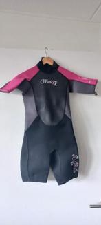 Nieuwe Wetsuit Shorty Maat 152, Watersport en Boten, Watersportkleding, Nieuw, Wetsuit, Ophalen of Verzenden, Kind