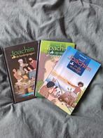 Dick Mourik - Joachim de herdersjongen, Ophalen, Zo goed als nieuw, Dick Mourik