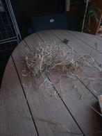 buiten kertverlichting, Ophalen, Gebruikt