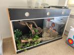 Betonplex Terrarium, Ophalen, Gebruikt, Terrarium of Paludarium