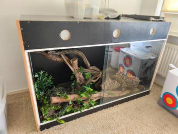 Betonplex Terrarium  beschikbaar voor biedingen