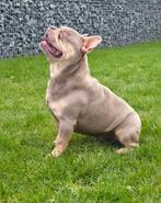 😍 Super gave isabella cherrytan dekreu Junior 😍