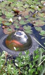 VELDA,FLOATING FISH DOME (VISBOL)., Tuin en Terras, Ophalen, Gebruikt, Overige typen