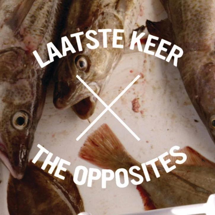 The Opposites - Laatste Keer (PROMO), Cd's en Dvd's, Cd Singles, Zo goed als nieuw, Ophalen of Verzenden