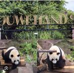 4 tickets Ouwehands Dierenpark Rhenen, Tickets en Kaartjes, Drie personen of meer, Ticket of Toegangskaart