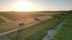 (Graszaad)hooi en Stro (kleine pakjes), Dieren en Toebehoren, Ophalen, Vee