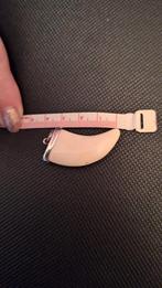 Zilveren hanger met tand, Ophalen of Verzenden